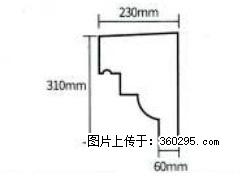 产品分解图型 - 檐口线，型号：SX311-YK-3，规格：230x310mm(3) - 海口三象EPS建材 haikou.sx311.cc